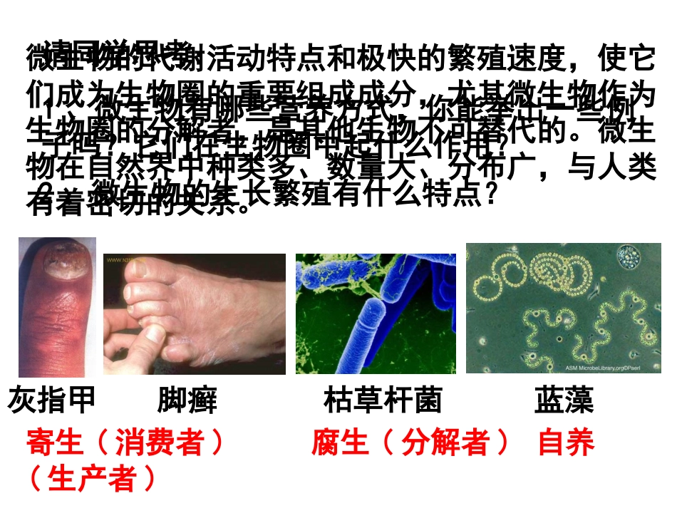 微生物与人类的关系（上课）_第2页