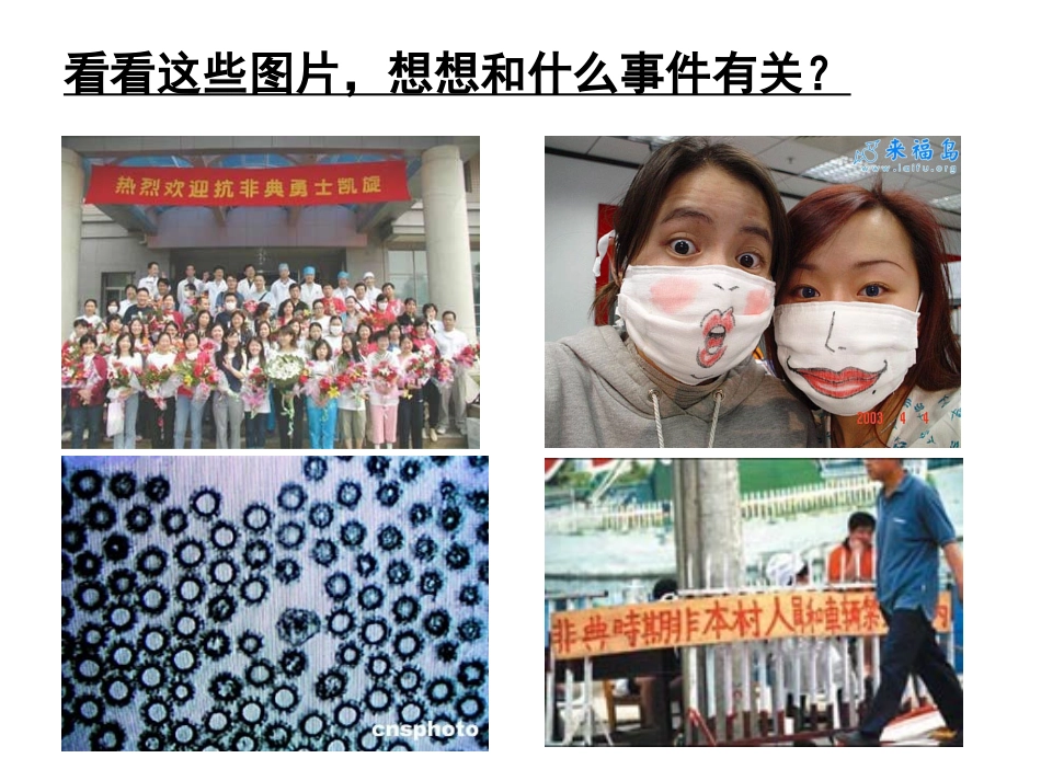 微生物与人类的关系（上课）_第3页