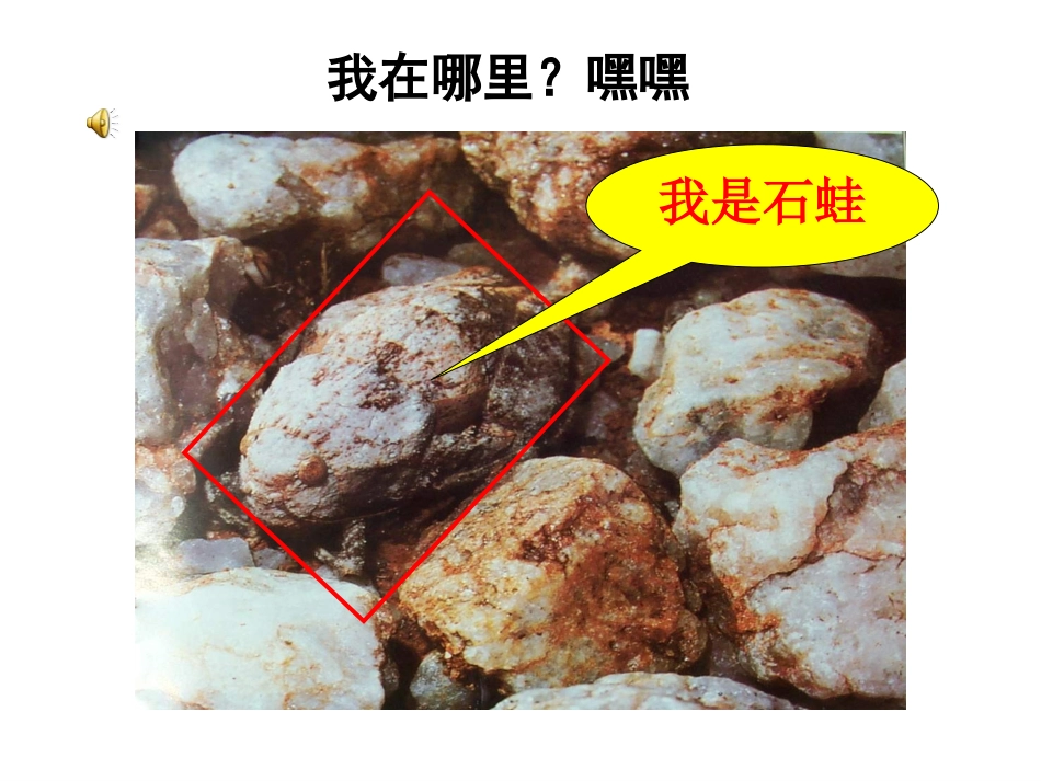 生物对环境的适应与作用_第3页