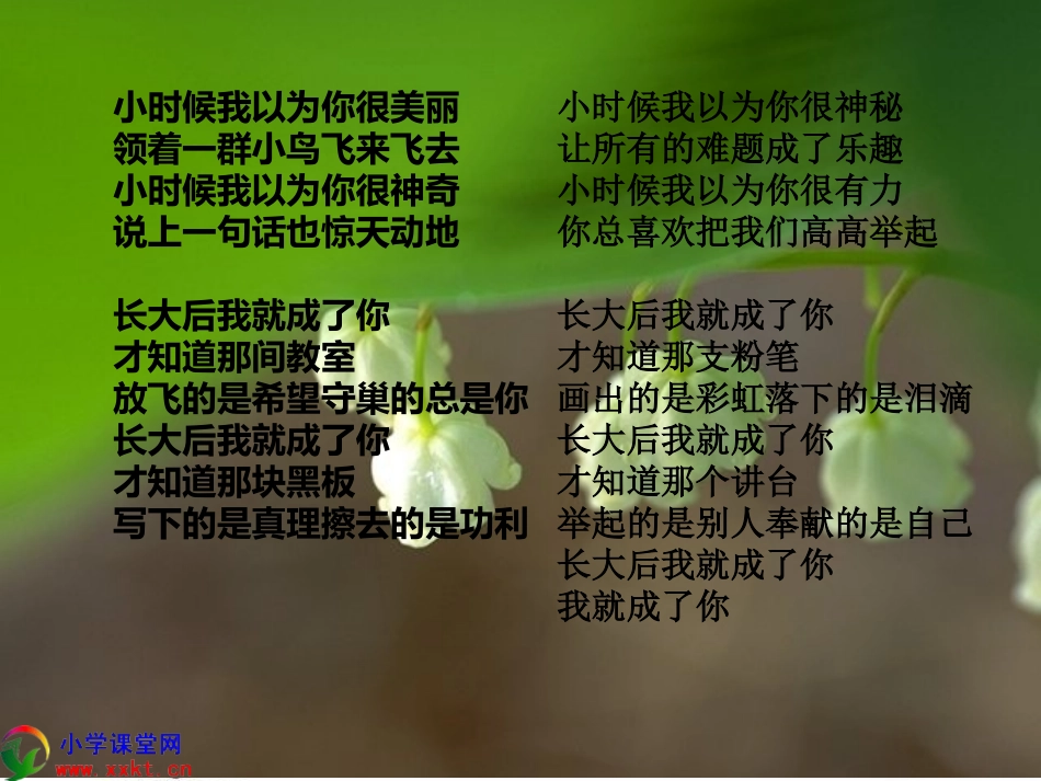 小学语文12册综合实践——我的老师_第2页