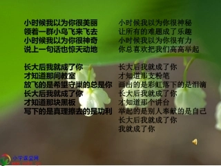 小学语文12册综合实践——我的老师