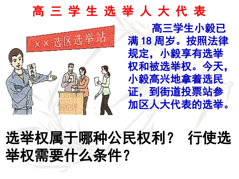 依法参与政治生活_第3页