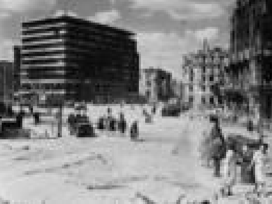 十五从军征 (2)_第2页