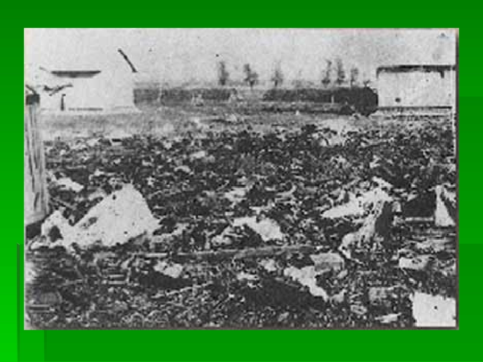 十五从军征 (2)_第3页