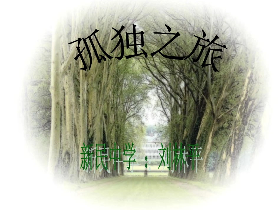 人教新课标版九上《孤独之旅》_第1页