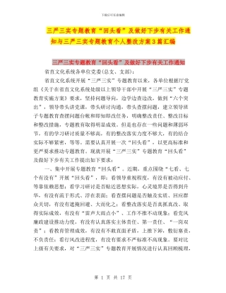 三严三实专题教育“回头看”及做好下步有关工作通知与三严三实专题教育个人整改方案3篇汇编