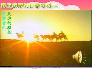 我应该感到自豪才对(二)