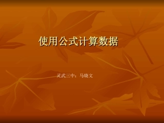 使用公式计算数据课件