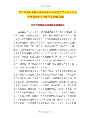 三严三实和忠诚干净担当学习体会与三严三实和忠诚干净担当学习心得体会2024汇编