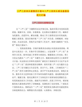 三严三实回头看情况汇报与三严三实回头看自查报告范文汇编
