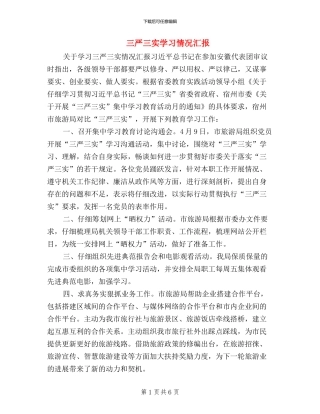 三严三实学习情况汇报