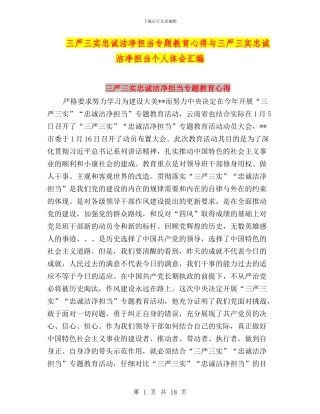 三严三实忠诚干净担当专题教育心得与三严三实忠诚干净担当个人体会汇编