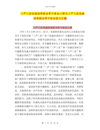 三严三实忠诚干净担当学习体会心得与三严三实忠诚干净担当学习体会范文汇编