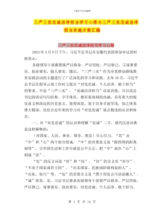 三严三实忠诚干净担当学习心得与三严三实忠诚干净担当实施方案汇编