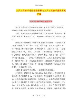 三严三实班子对照检查材料与三严三实班子整改方案汇编