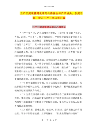 三严三实道德建设学习心得体会与严字当头