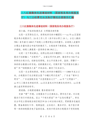 三八红旗集体先进事迹材料与三公经费支出及执行情况自查报告汇编