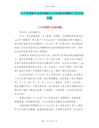 三八节表彰大会讲话稿与三公经费专项整治工作方案汇编