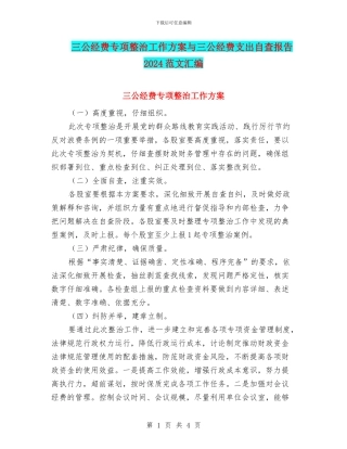 三公经费专项整治工作方案与三公经费支出自查报告2024范文汇编