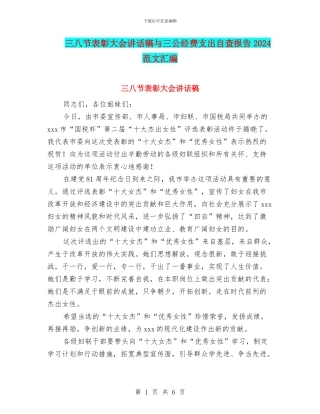 三八节表彰大会讲话稿与三公经费支出自查报告2024范文汇编