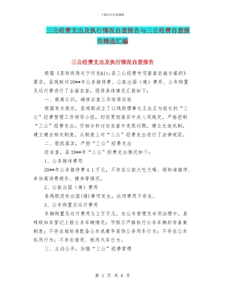 三公经费支出及执行情况自查报告与三公经费自查报告精选汇编