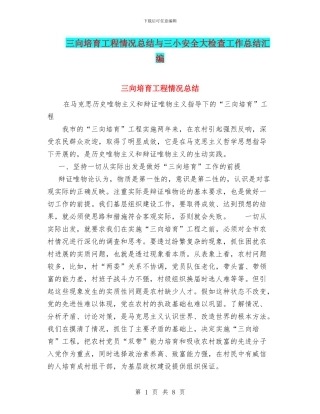 三向培养工程情况总结与三小安全大检查工作总结汇编