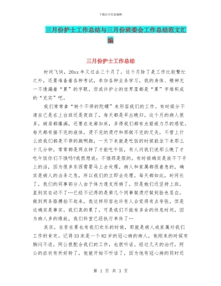 三月份护士工作总结与三月份班委会工作总结范文汇编