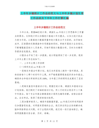上半年乡镇统计工作总结范文与上半年乡镇计划生育工作总结及下半年工作打算汇编