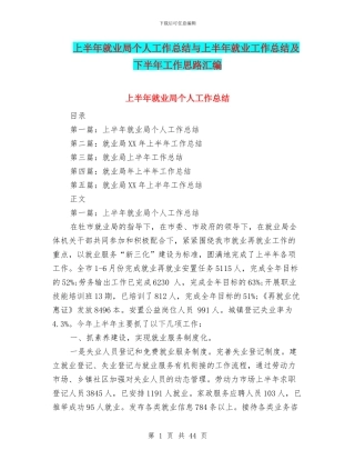 上半年就业局个人工作总结与上半年就业工作总结及下半年工作思路汇编