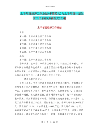 上半年度经济工作总结与上半年度计划生育工作总结(多篇范文)汇编