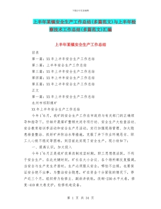 上半年某镇安全生产工作总结与上半年检察技术工作总结(多篇范文)汇编