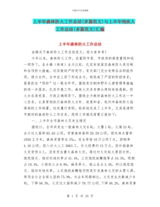 上半年森林防火工作总结与上半年残疾人工作总结(多篇范文)汇编