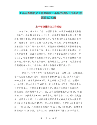 上半年森林防火工作总结与上半年民政局工作总结汇编