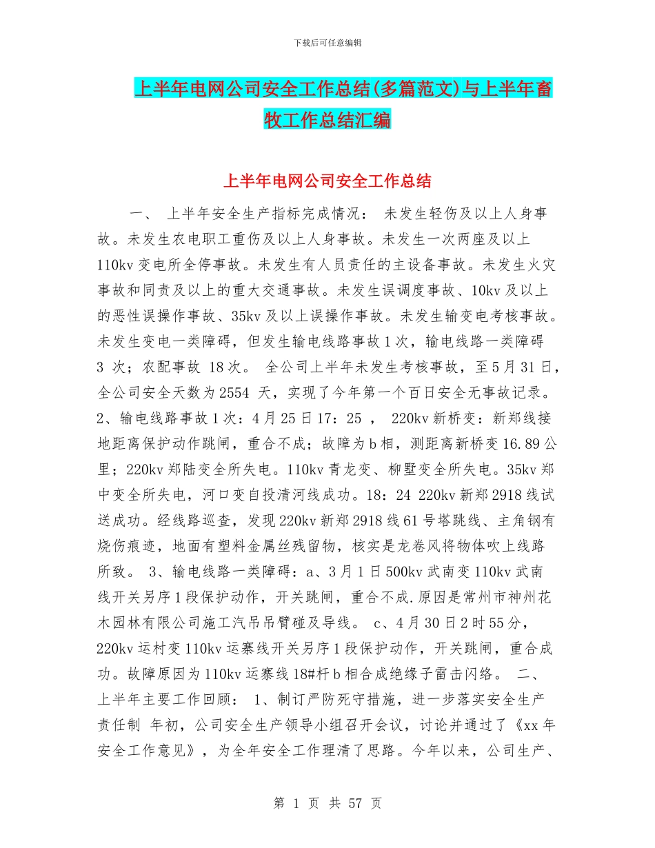 上半年电网公司安全工作总结(多篇范文)与上半年畜牧工作总结汇编_第1页