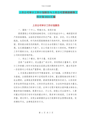 上市公司审计工作计划报告与上市公司营销部销售工作计划2024汇编