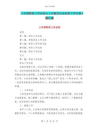 上年度财务工作总结与上年新农办总结和下年打算2篇汇编