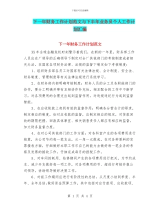下一年财务工作计划范文与下半年业务员个人工作计划汇编