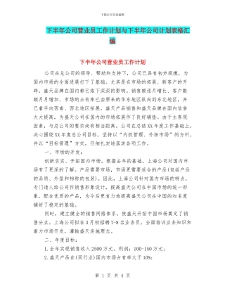 下半年公司营业员工作计划与下半年公司计划表格汇编