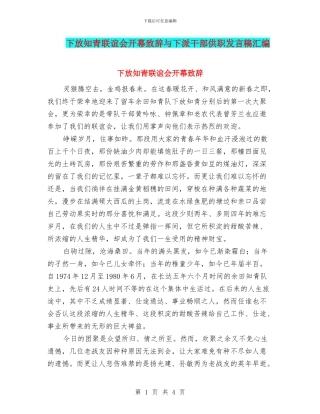 下放知青联谊会开幕致辞与下派干部供职发言稿汇编