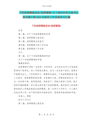 下村挂职锻炼总结与下派任村党支部书记的乡镇干部2024年驻村工作总结范文汇编