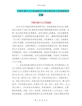 下派干部个人工作总结与下派干部五年工作总结范文汇编