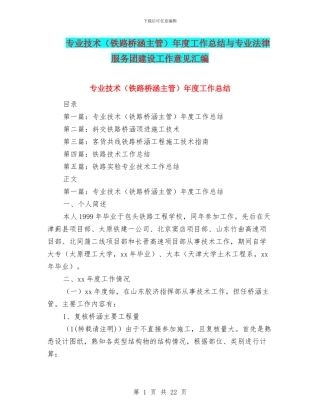 专业技术年度工作总结与专业法律服务团建设工作意见汇编