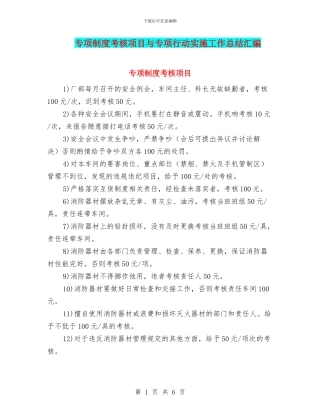 专项制度考核项目与专项行动实施工作总结汇编