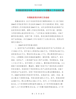 专项扶贫项目年终工作总结与专项整治工作总结汇编
