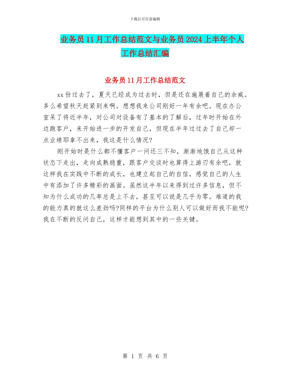 业务员11月工作总结范文与业务员2024上半年个人工作总结汇编_第1页