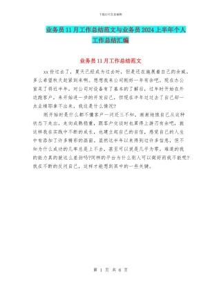 业务员11月工作总结范文与业务员2024上半年个人工作总结汇编