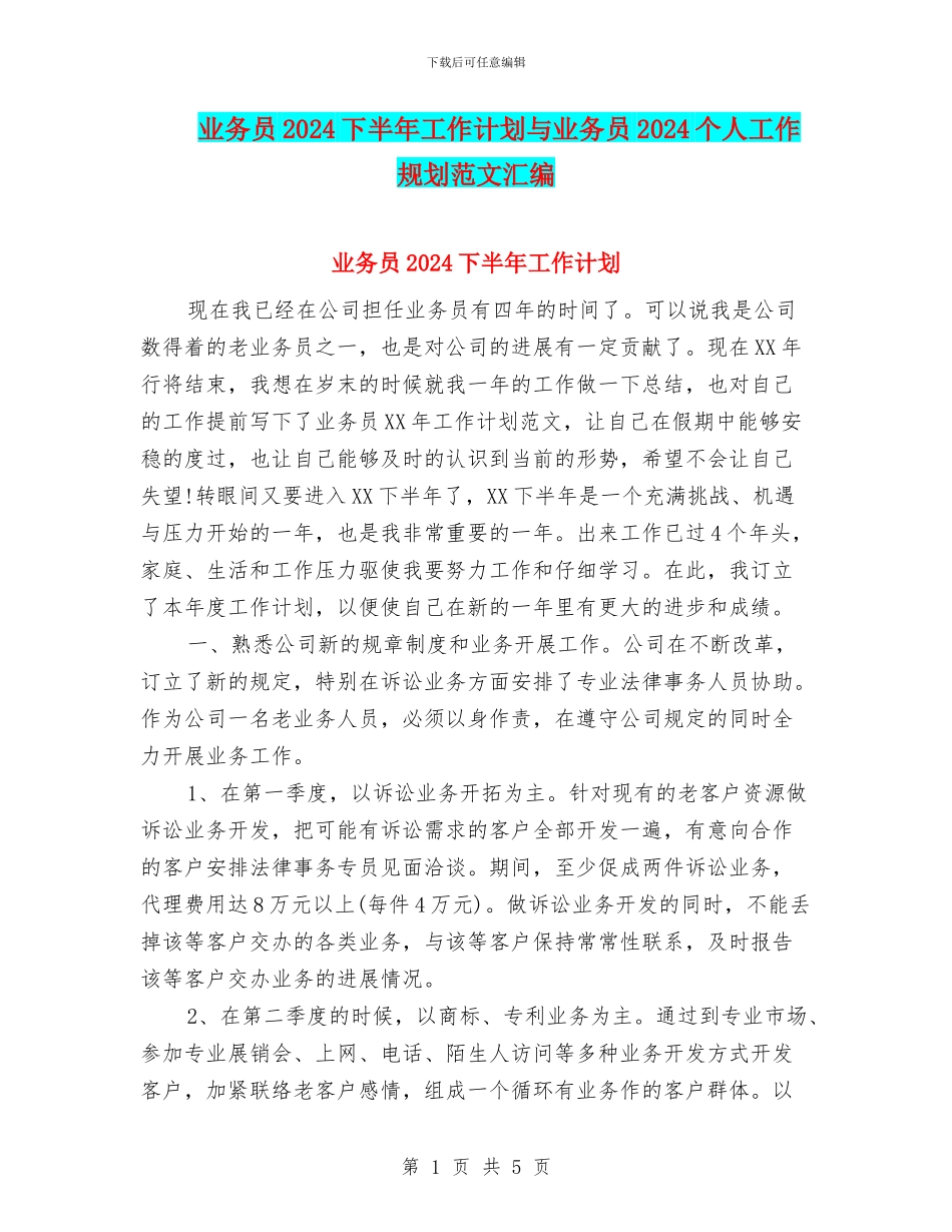 业务员2024下半年工作计划与业务员2024个人工作规划范文汇编_第1页