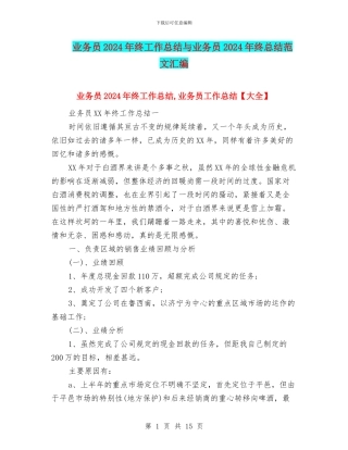 业务员2024年终工作总结与业务员2024年终总结范文汇编