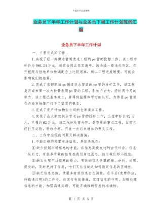 业务员下半年工作计划与业务员下周工作计划范例汇编