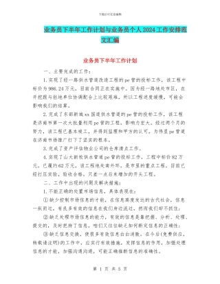 业务员下半年工作计划与业务员个人2024工作安排范文汇编